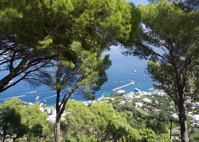 La Casa nel Bosco